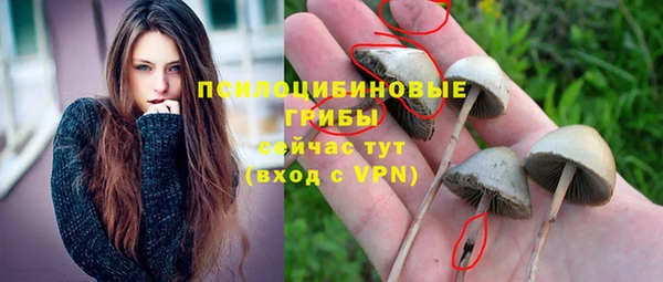 тгк Богданович